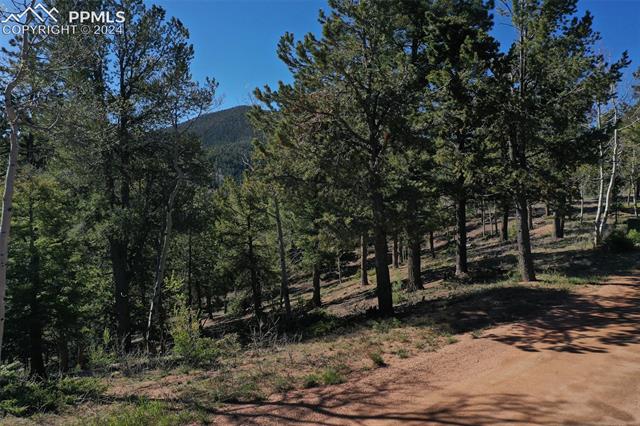 1100 Elk Ridge South Divide, CO 80814 - Photo 16 of 34
