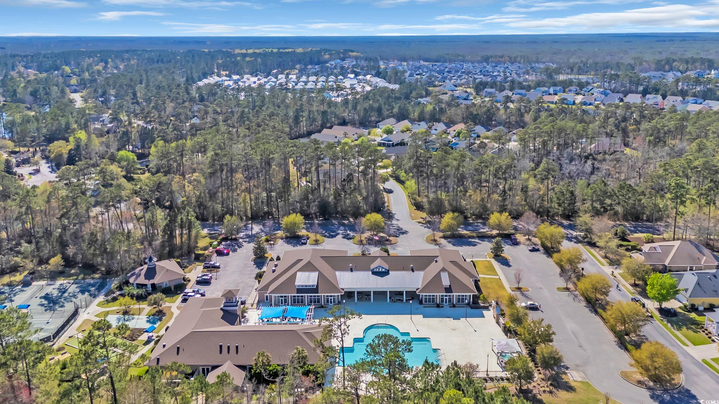 138 Sugar Loaf Lane Murrells Inlet, SC 29576 - Photo 35 of 38 Birds eye view of property