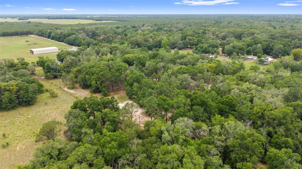 18330 Booming Road Spring Hill, FL 34610 - Photo 36 of 48