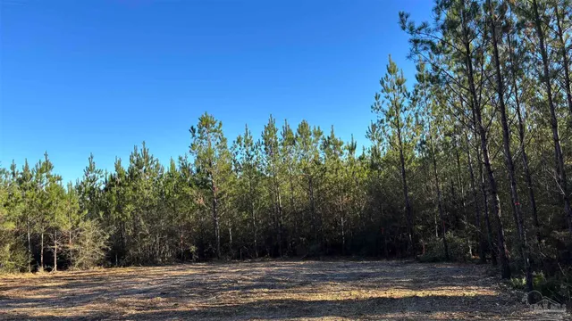 $110,000 | Lot 57 Straw Bridge Road, Jay, FL 32565