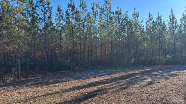 $110,000 | Lot 57 Straw Bridge Road, Jay, FL 32565