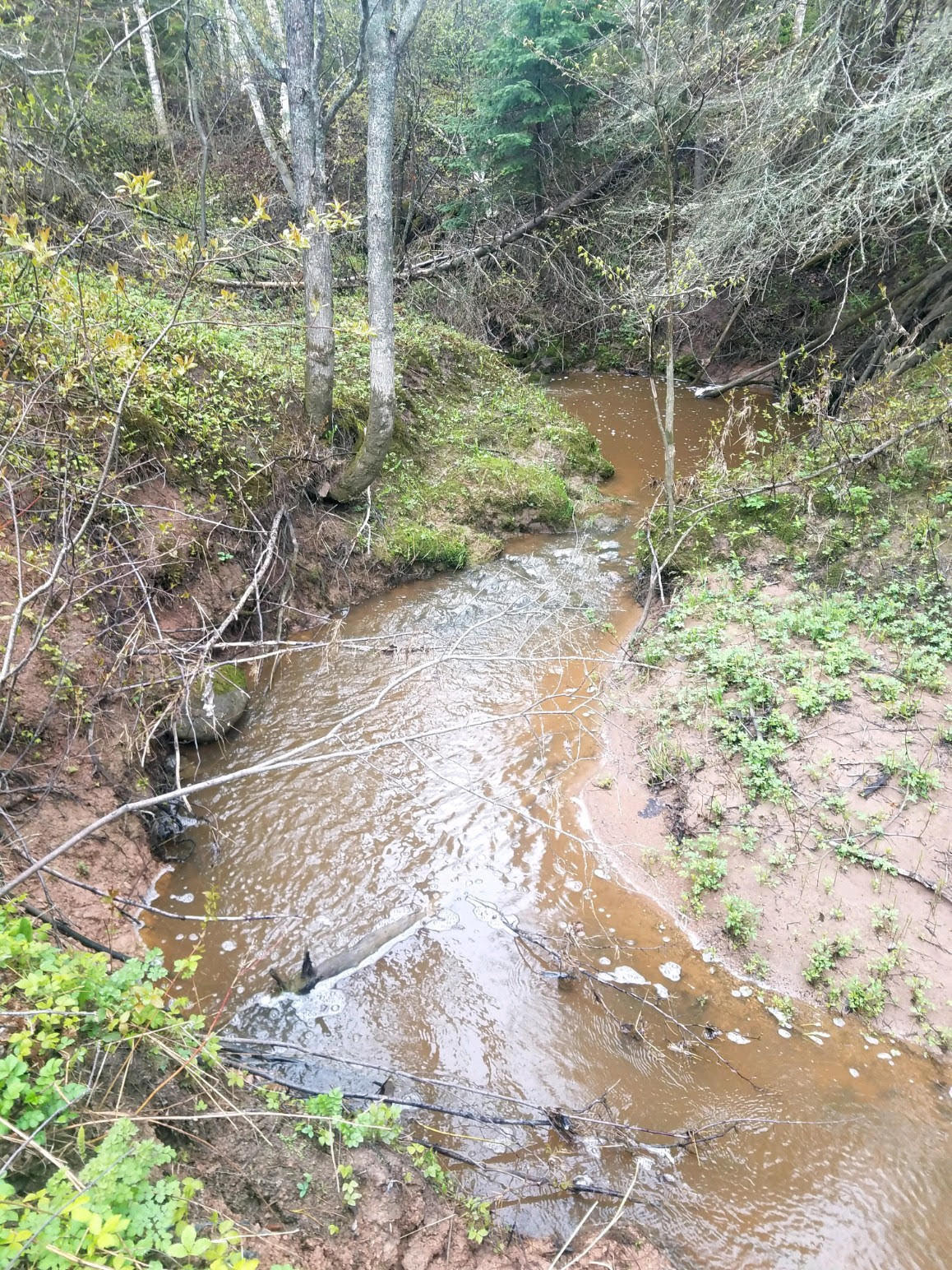 43-acres South Ridge Road Sault Ste. Marie, MI 49783 - Photo 10 of 24 Gallery Image 10