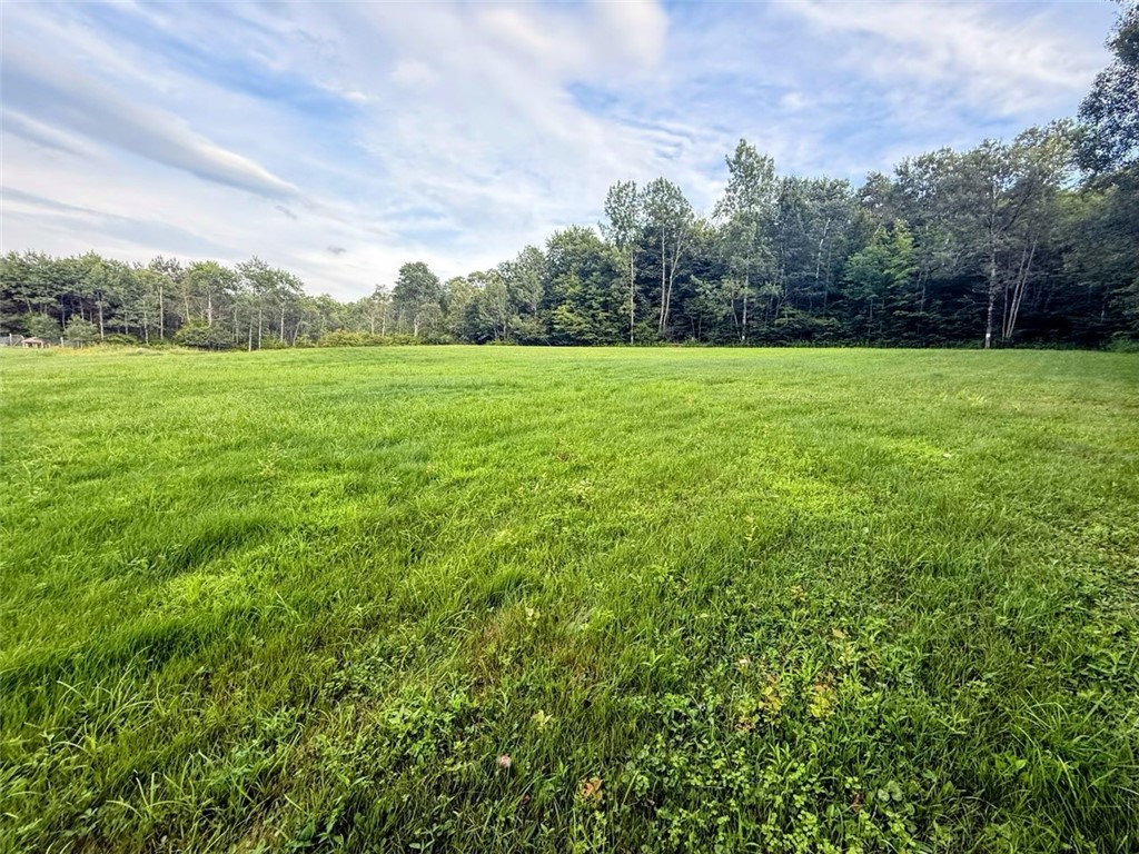 165 Fairview Road Erin, NY 14838 - Photo 25 of 27