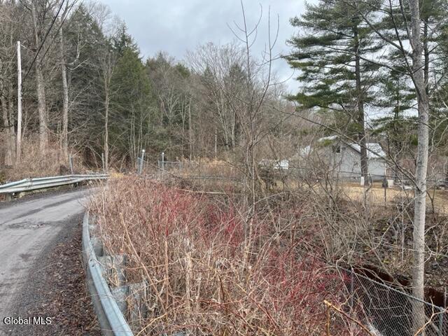 357 Murphy Road Wright, NY 12157 - Photo 30 of 31 IMG_5115