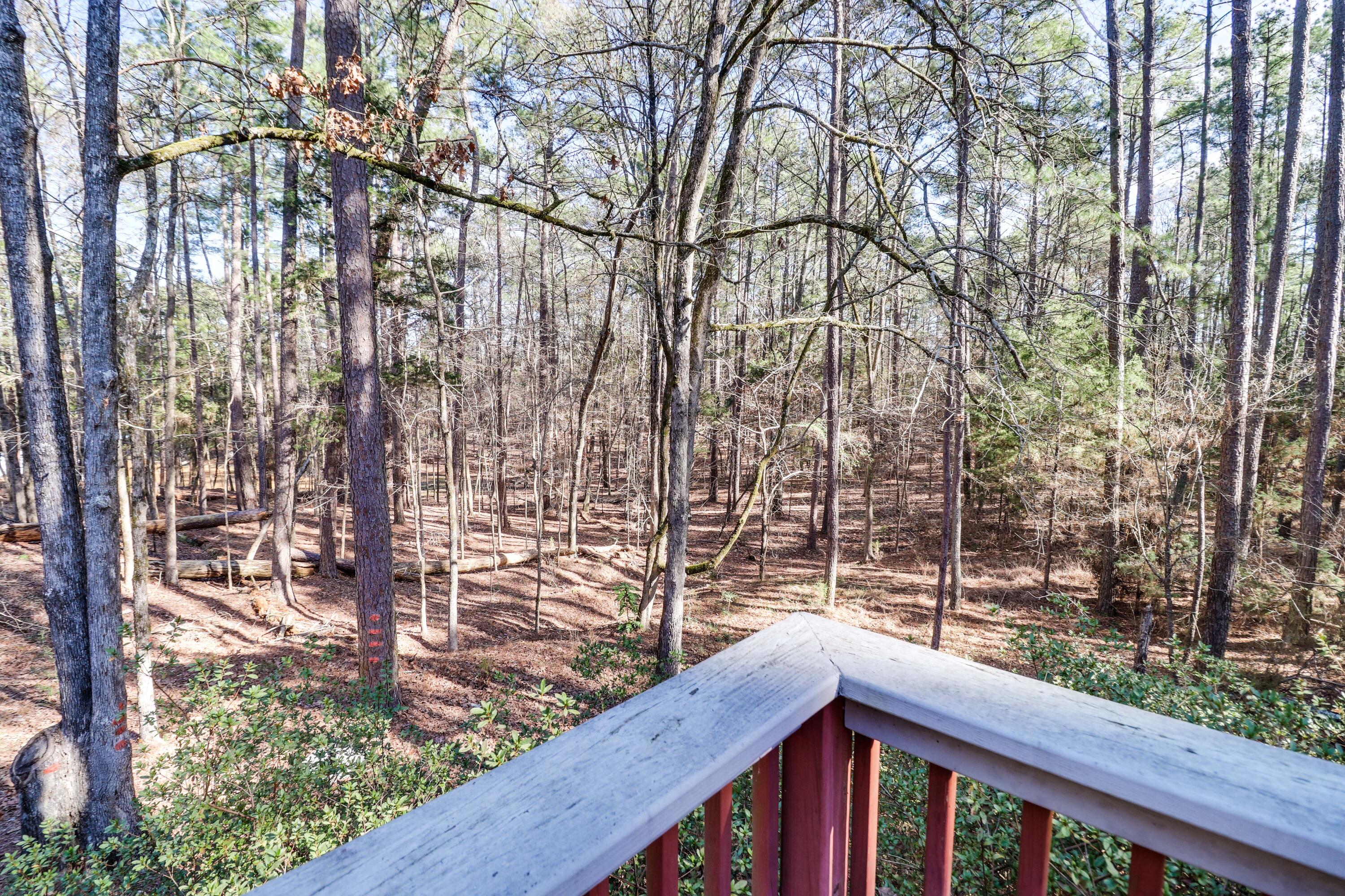 309 Misty Cove McCormick, SC 29835 - Photo 36 of 52 IMG_1684- HDR