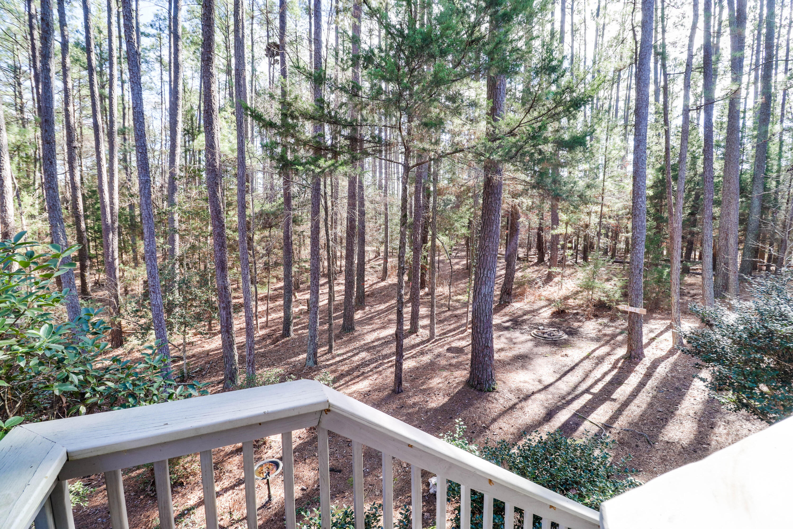 309 Misty Cove McCormick, SC 29835 - Photo 38 of 52 IMG_1690- HDR