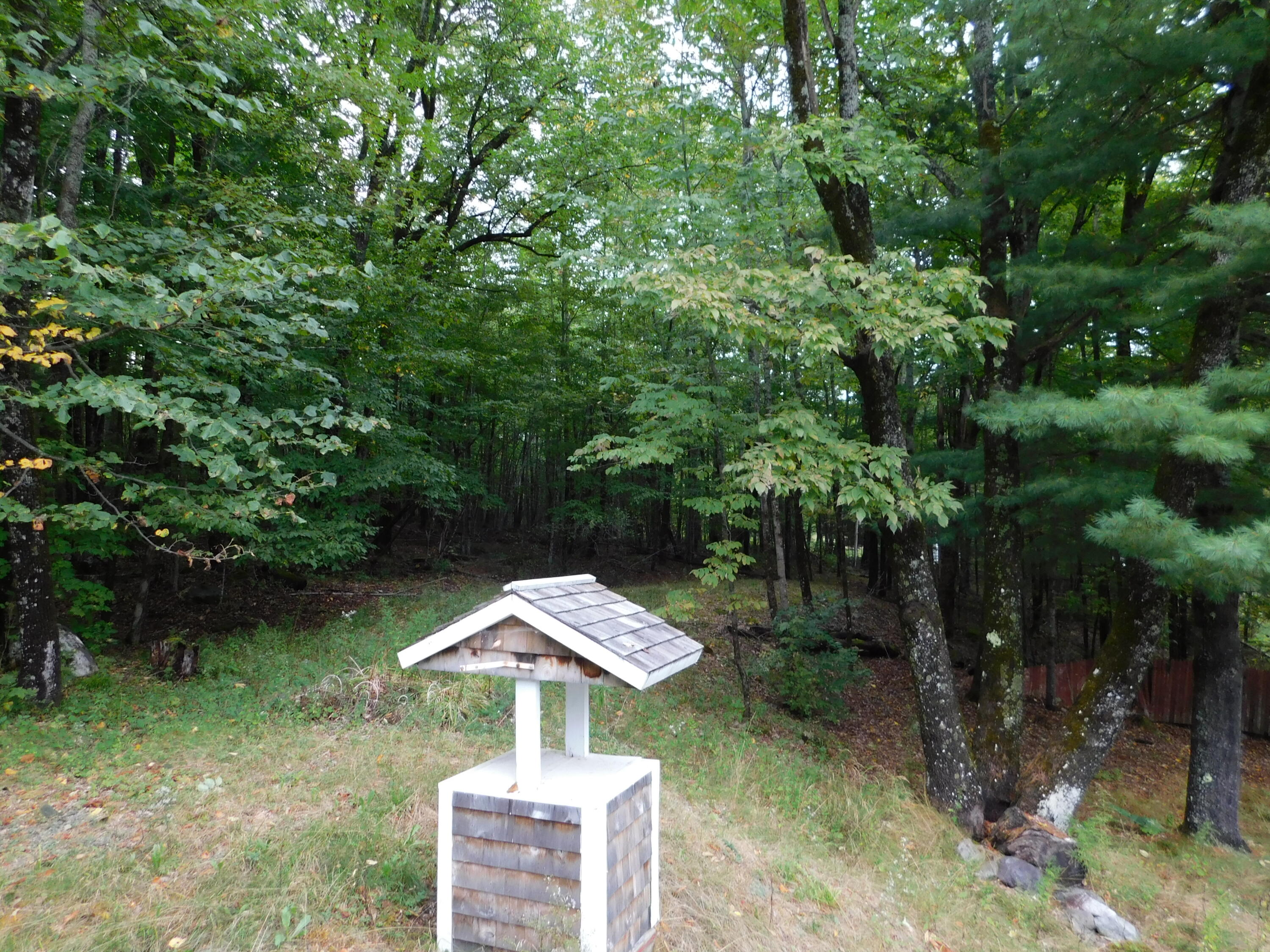 49 Cambridge Road Dexter, ME 04930 - Photo 44 of 47 DSCN8493