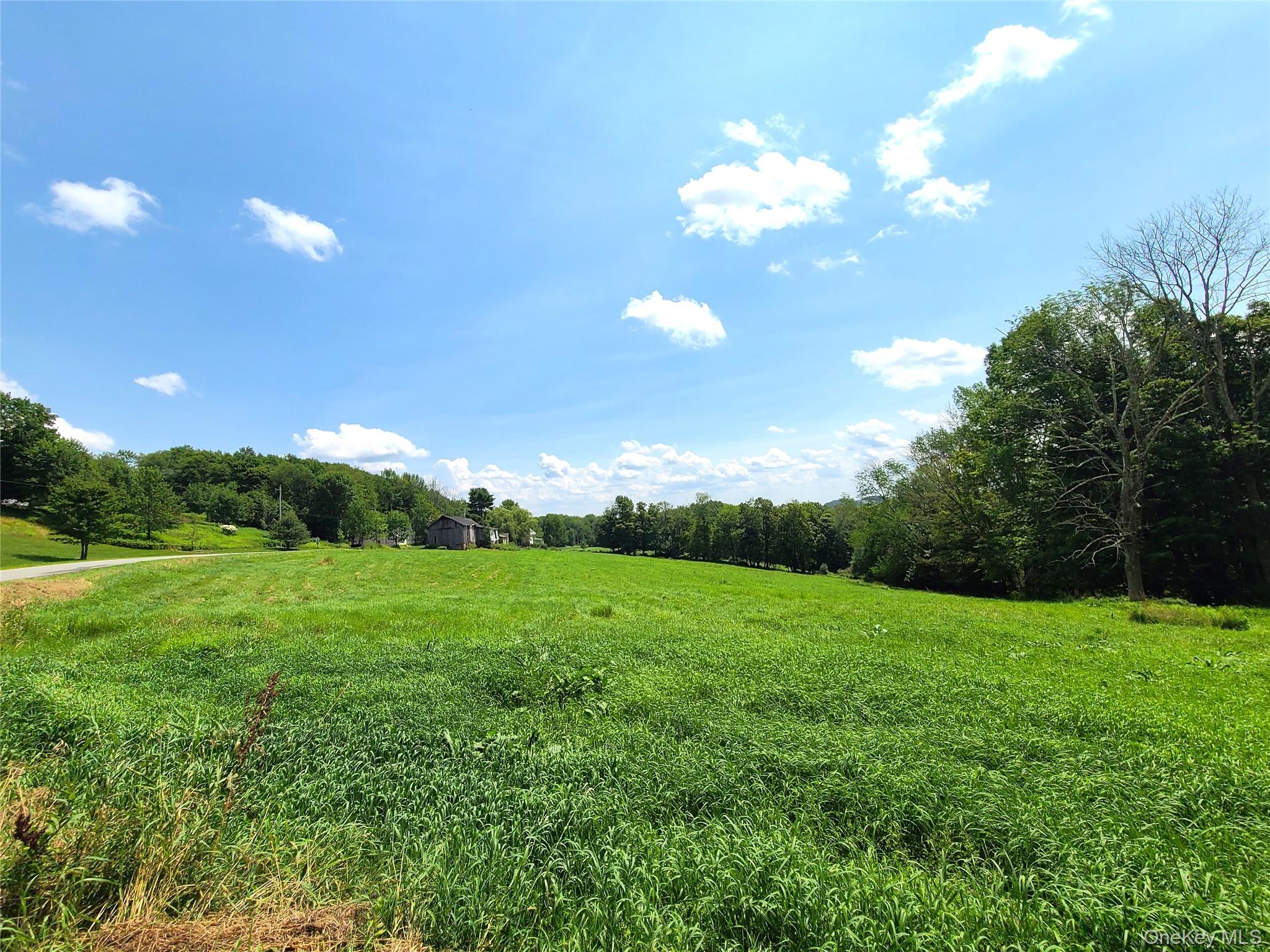 299-301 Stump Pond Road Livingston Manor, NY 12758 - Photo 12 of 50 a view of a big yard with a large tree