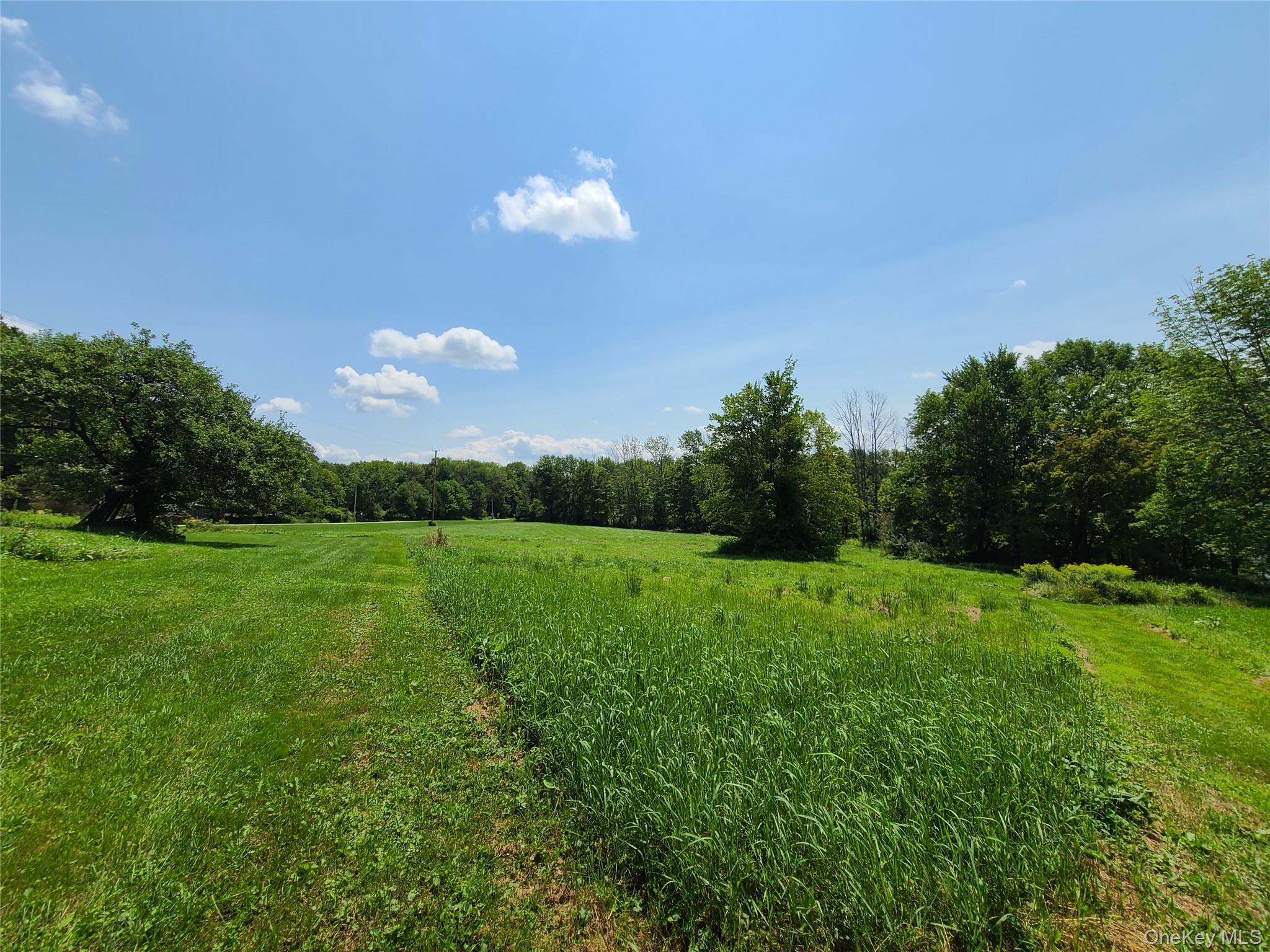 299-301 Stump Pond Road Livingston Manor, NY 12758 - Photo 26 of 50 a view of a golf course with a lake
