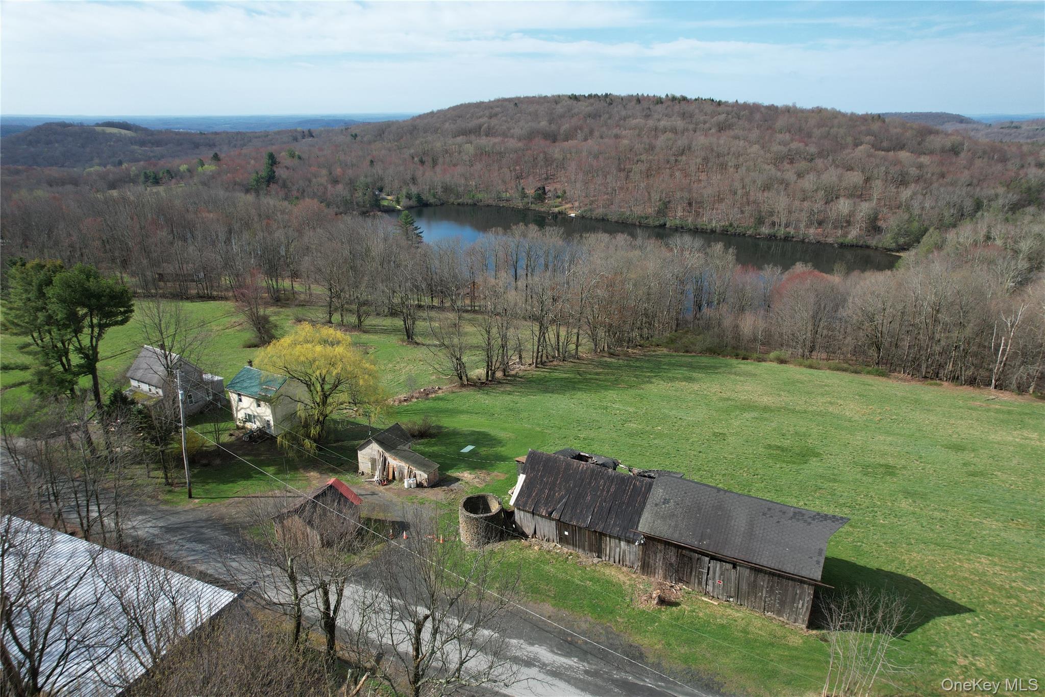 299-301 Stump Pond Road Livingston Manor, NY 12758 - Photo 3 of 50 a view of a lake with a mountain