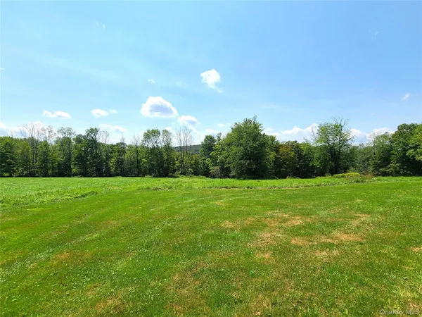 a view of a green yard