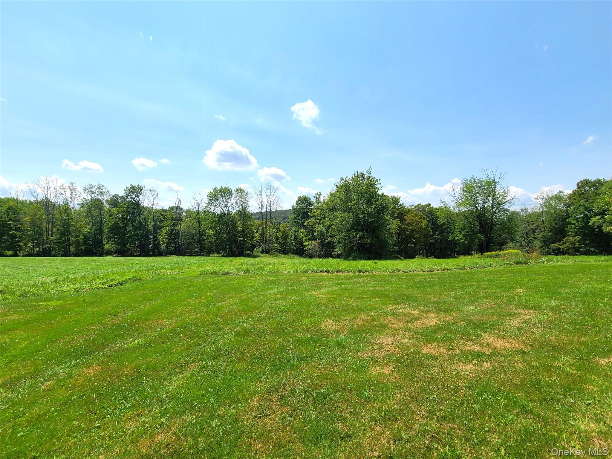 299-301 Stump Pond Road Livingston Manor, NY 12758 - Photo 41 of 50 a view of a golf course with a lake