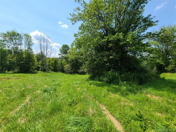 a view of green field with trees in the background
