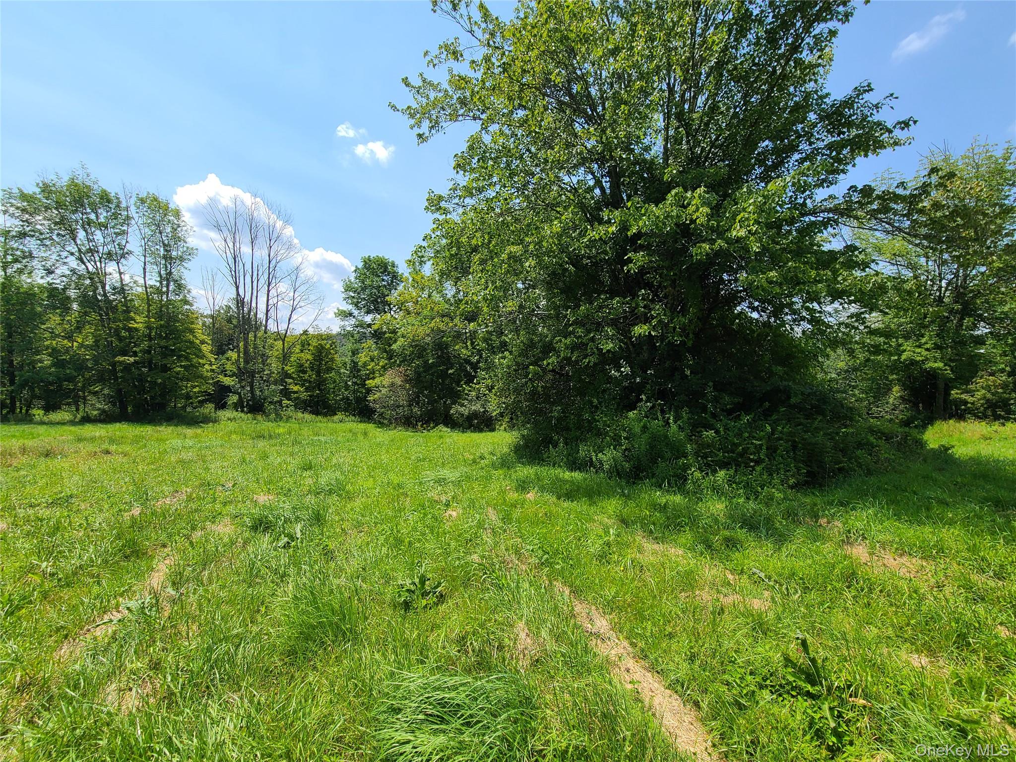 299-301 Stump Pond Road Livingston Manor, NY 12758 - Photo 42 of 50 a view of a green yard