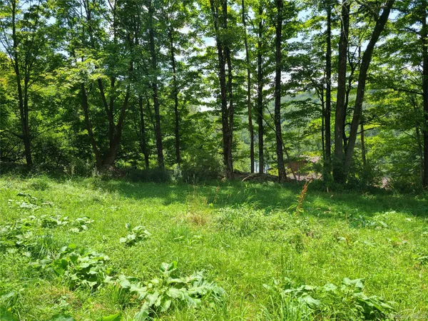 a view of yard with green space