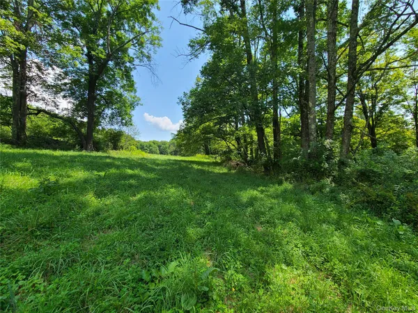 $464,500 | 299-301 Stump Pond Road, Livingston Manor, NY 12758