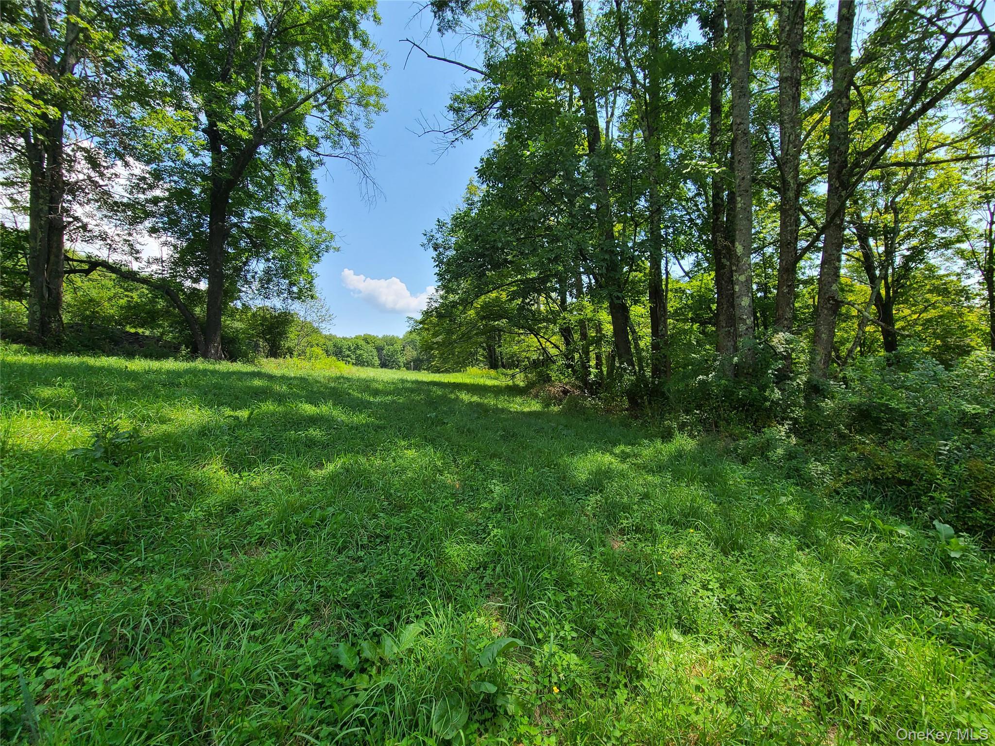 299-301 Stump Pond Road Livingston Manor, NY 12758 - Photo 44 of 50 a view of an outdoor space and a yard