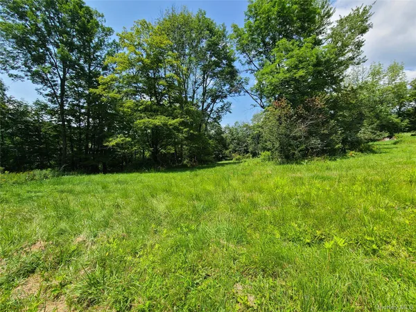 a view of a yard with plants and a large tree