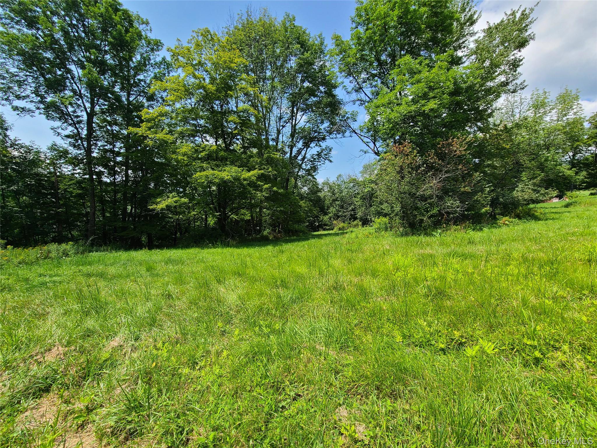 299-301 Stump Pond Road Livingston Manor, NY 12758 - Photo 46 of 50 a view of yard with green space