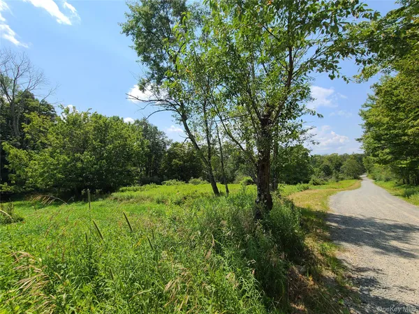 $464,500 | 299-301 Stump Pond Road, Livingston Manor, NY 12758