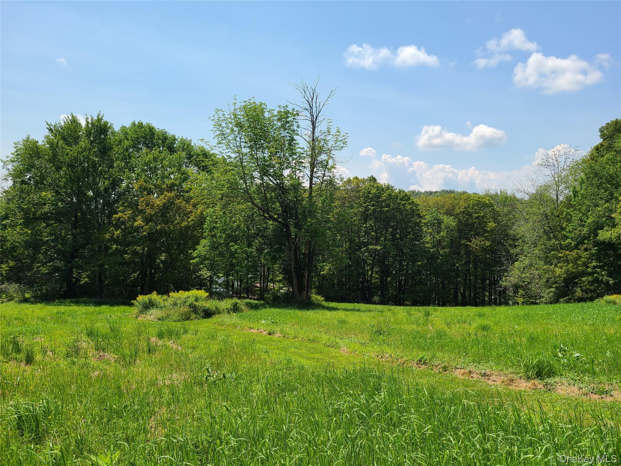 299-301 Stump Pond Road Livingston Manor, NY 12758 - Photo 49 of 50 a view of green field with trees in the background