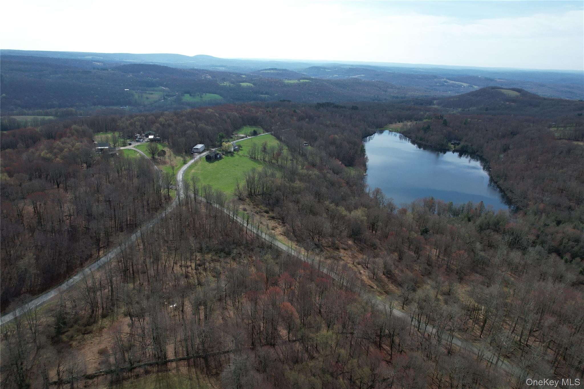 299-301 Stump Pond Road Livingston Manor, NY 12758 - Photo 50 of 50 an aerial view of mountain with residential house and green space