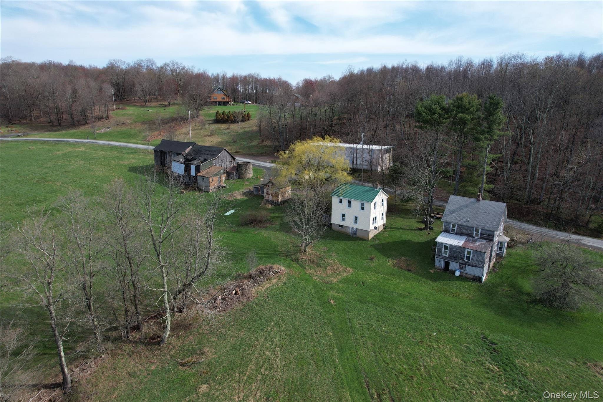 299-301 Stump Pond Road Livingston Manor, NY 12758 - Photo 5 of 50 a backyard of a house with table and chairs