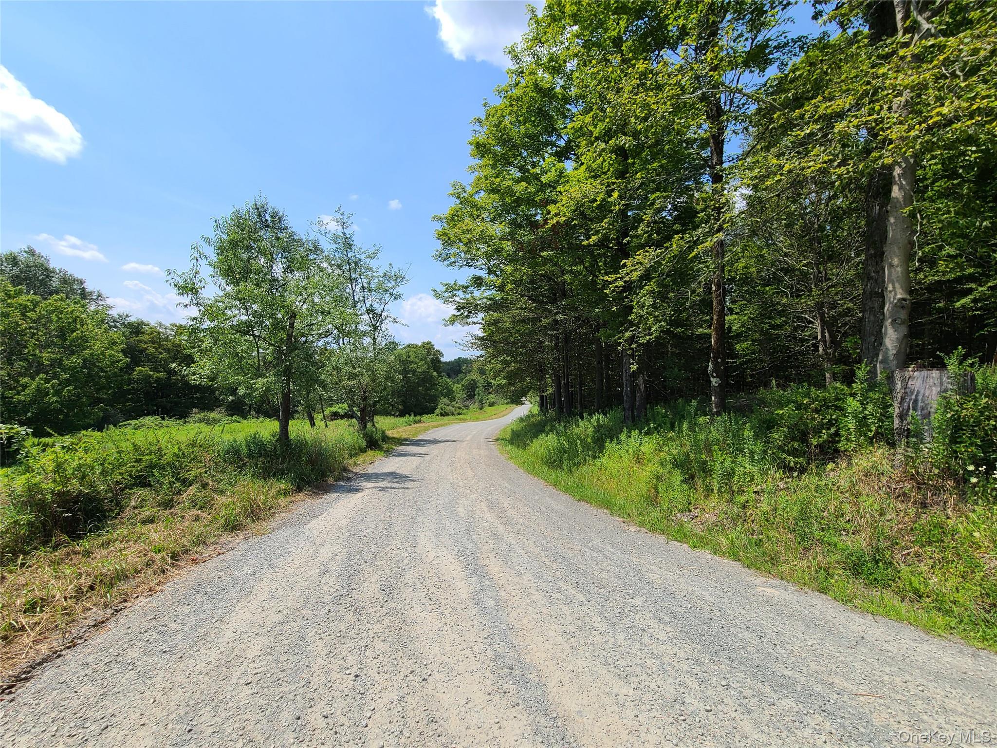 299-301 Stump Pond Road Livingston Manor, NY 12758 - Photo 6 of 50 a view of a road with a trees in the background