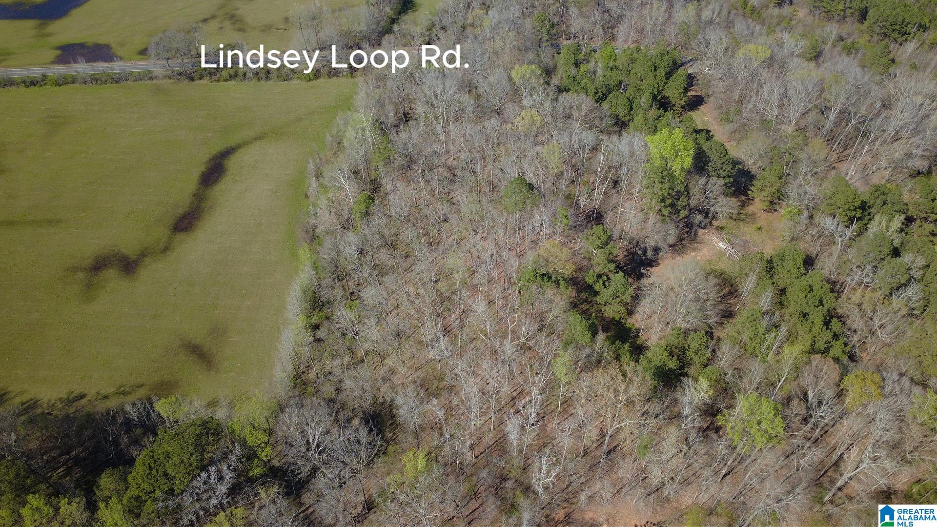 3590 Lindsey Loop Road Bessemer, AL 35022 - Photo 5 of 21 Gallery Image 5