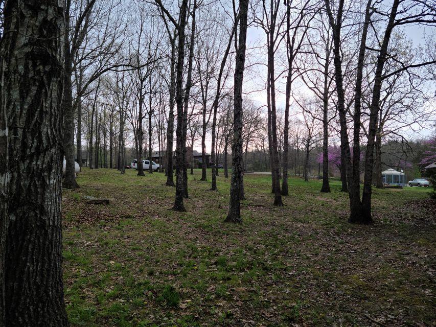 0 Greenleaf Lane Reeds Spring, MO 65737 - Photo 1 of 1 1.11 Acres