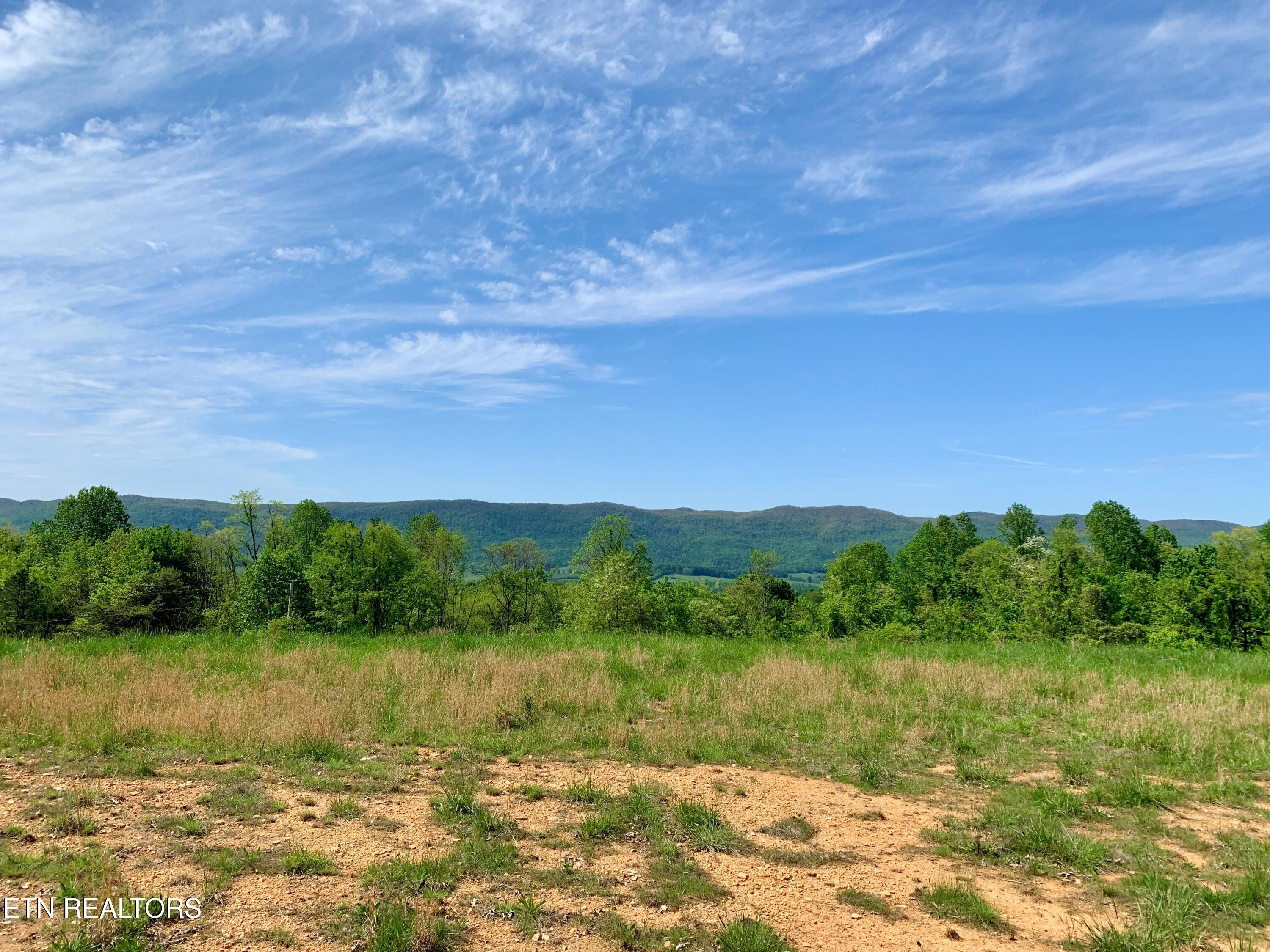 1088 Jones Ridge Road Speedwell, TN 37870 - Photo 4 of 53 4