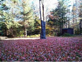 0 Rt 123 A Acworth, NH 03601 - Photo 2 of 5