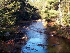 0 Rt 123 A Acworth, NH 03601 - Photo 4 of 5