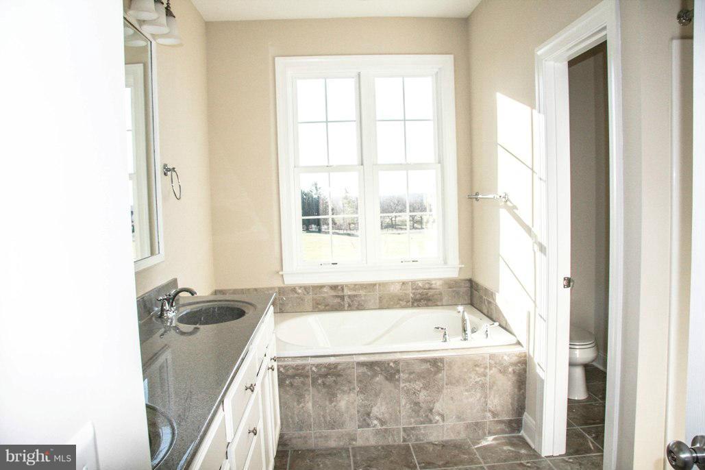 4251 Apple Pie Ridge Road Winchester, VA 22603 - Photo 20 of 26 Bath (Master)