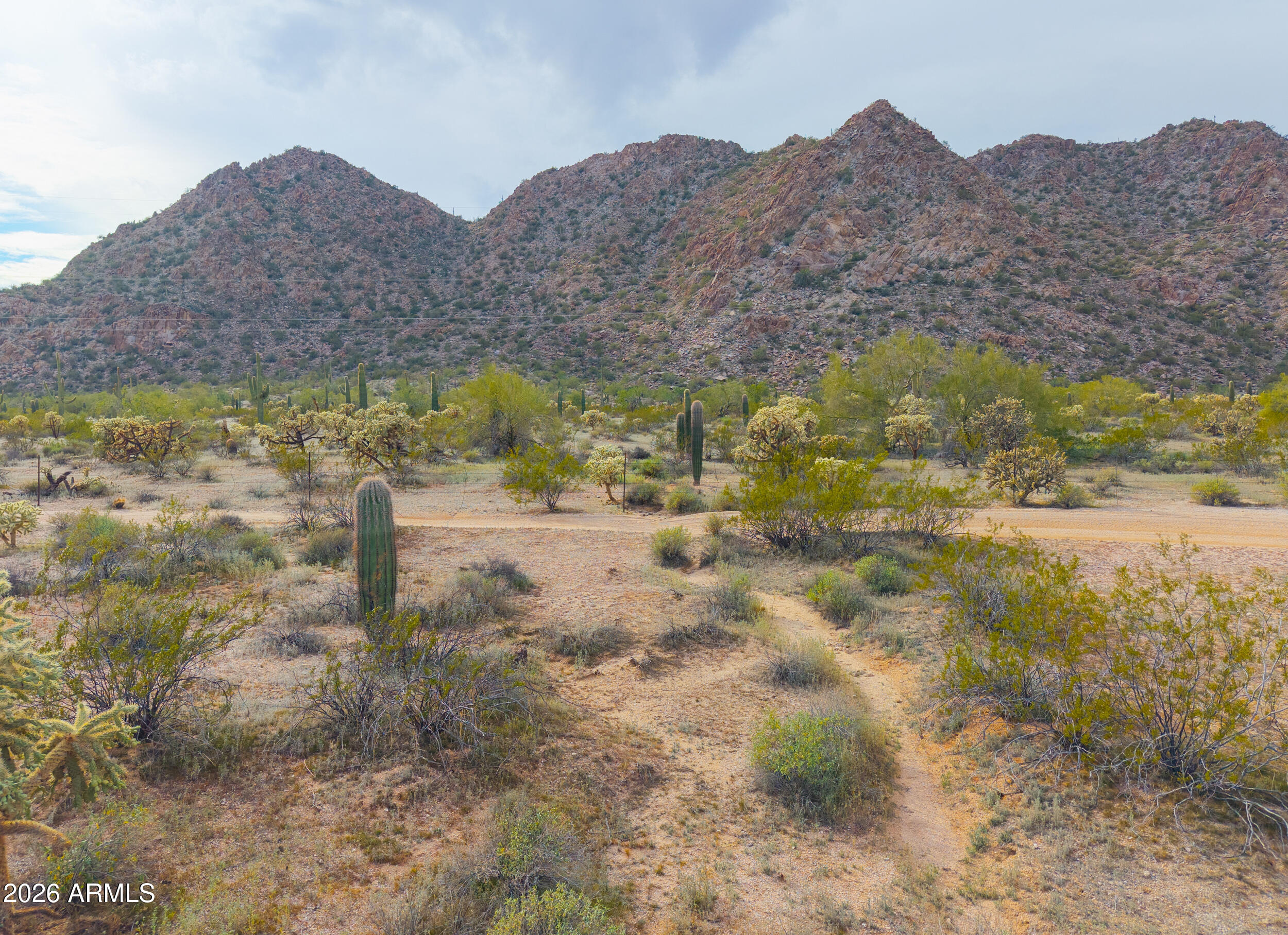 0 West Robin Road Maricopa, AZ 85139 - Photo 4 of 27 a view of a dry field with mountains in the background