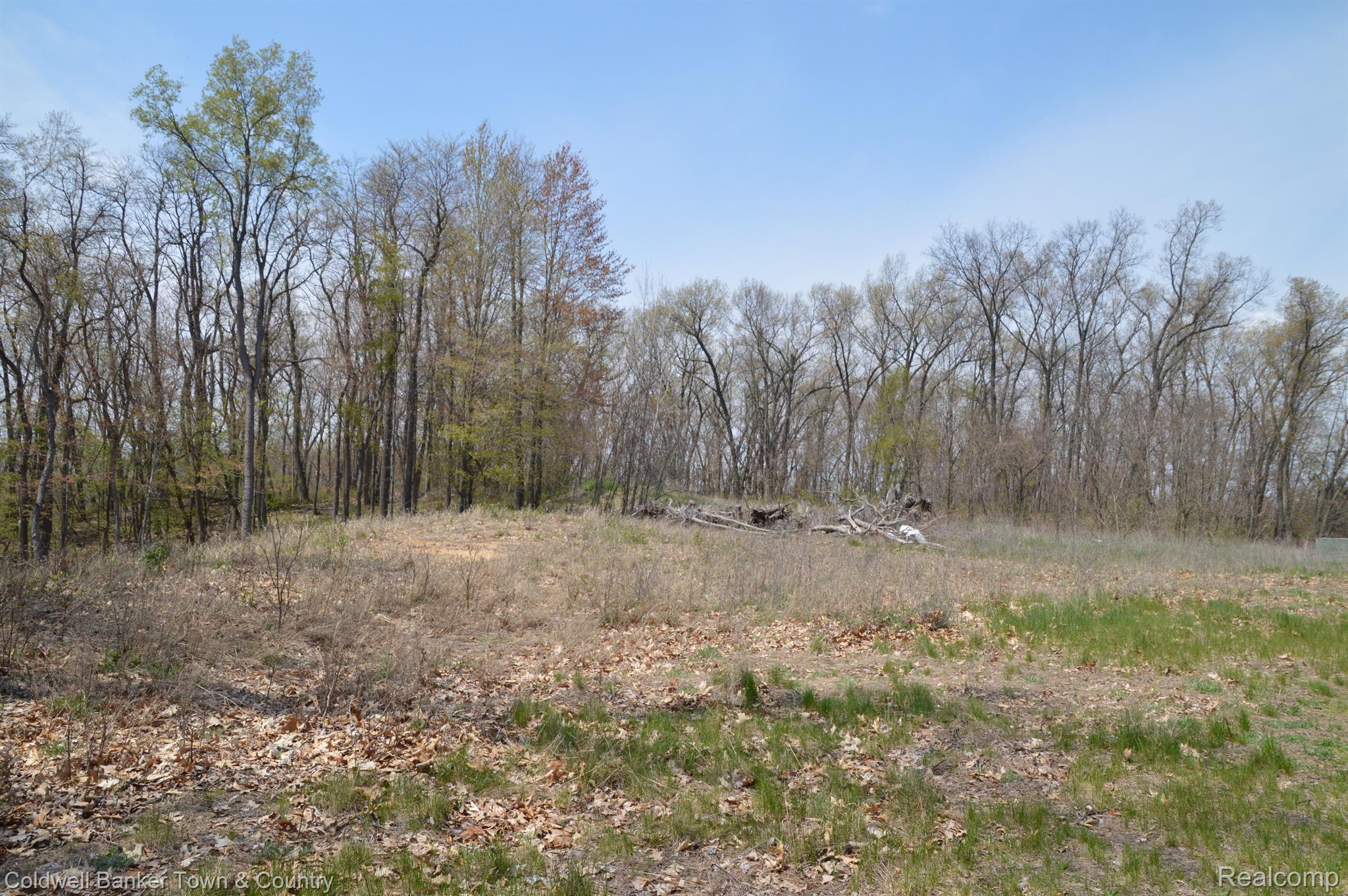 16240 Catalpa Ridge Holly, MI 48442 - Photo 23 of 25 Gallery Image 23