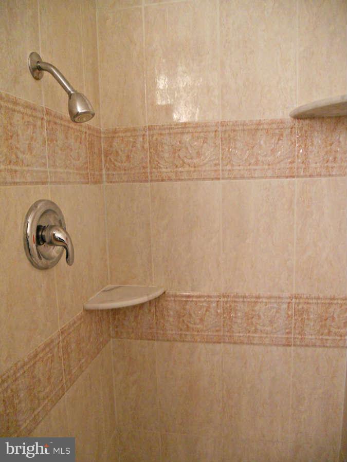 8490 Stonewall Road Manassas, VA 20110 - Photo 17 of 22 Master Shower