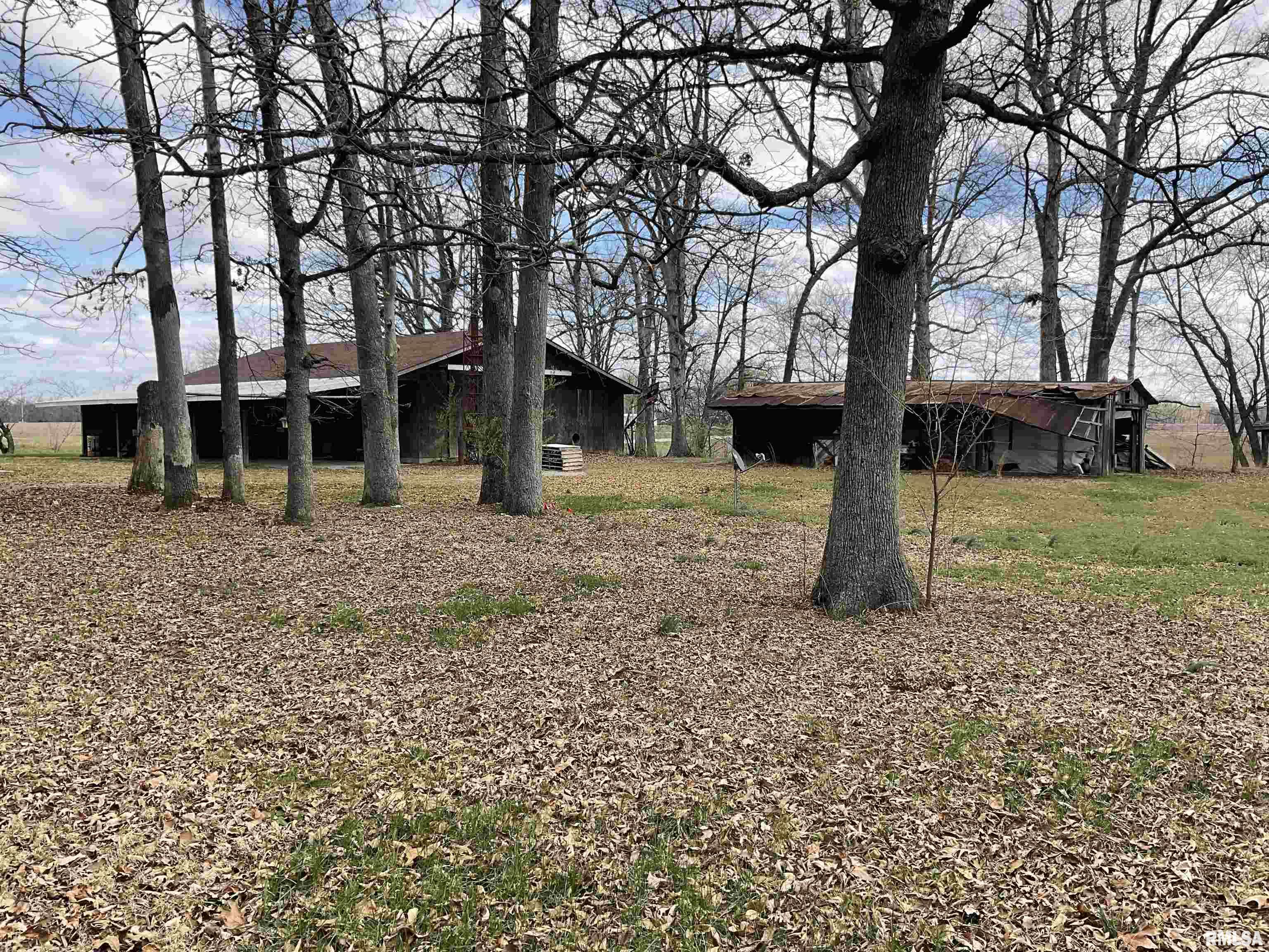 2985 East Emerson City Road Scheller, IL 62883 - Photo 30 of 35