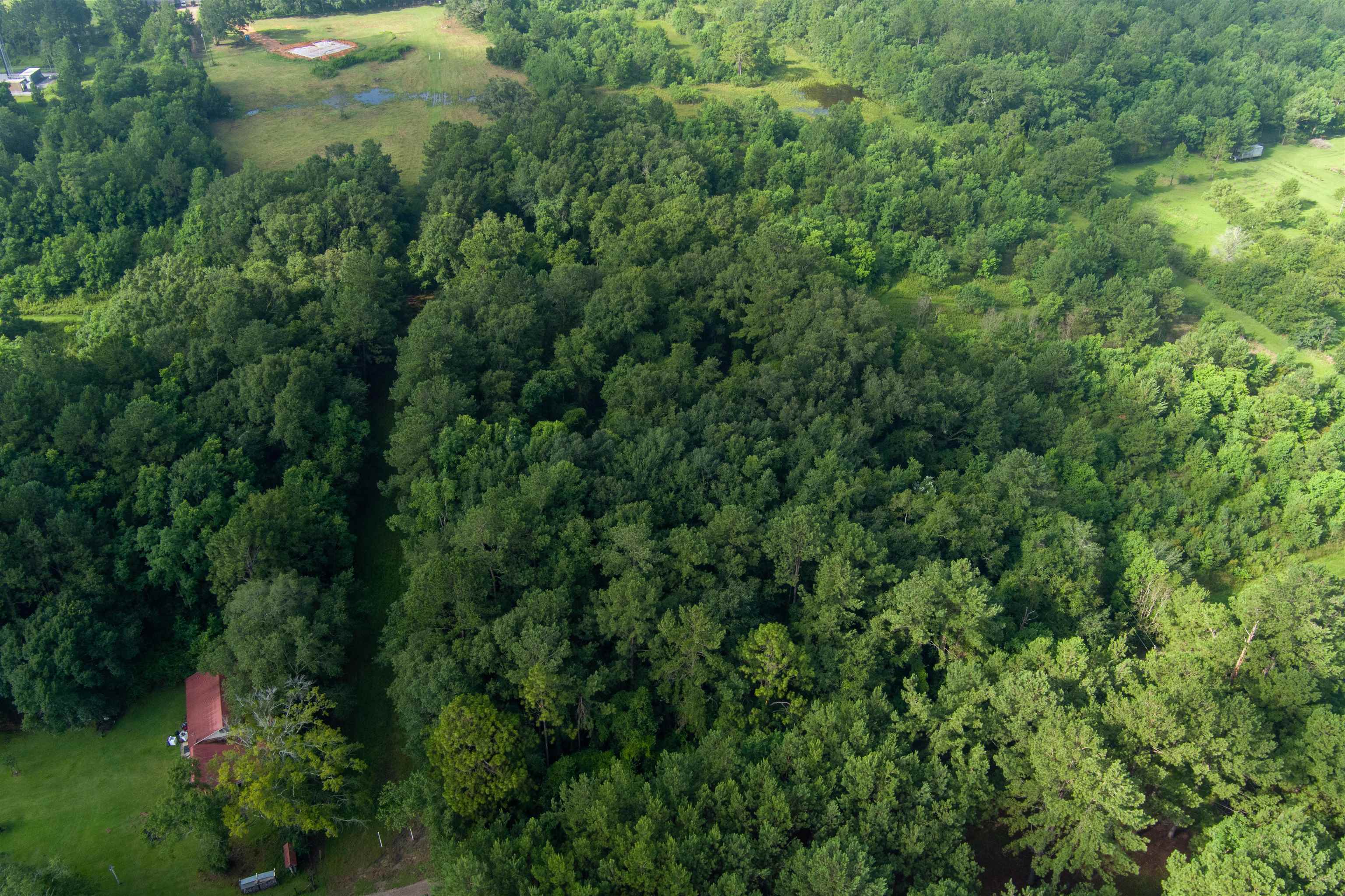 0 Grimsley Road Creola, AL 36525 - Photo 1 of 5