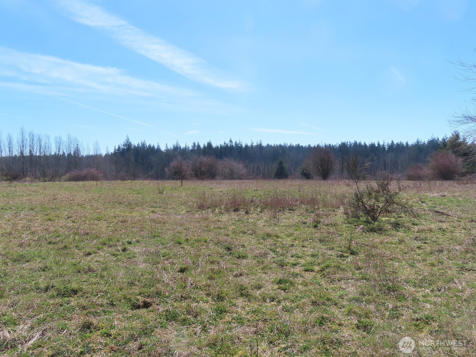107 West Avery Road, Unit A & B Winlock, WA 98596 - Photo 16 of 33 a view of a lake with houses in the back