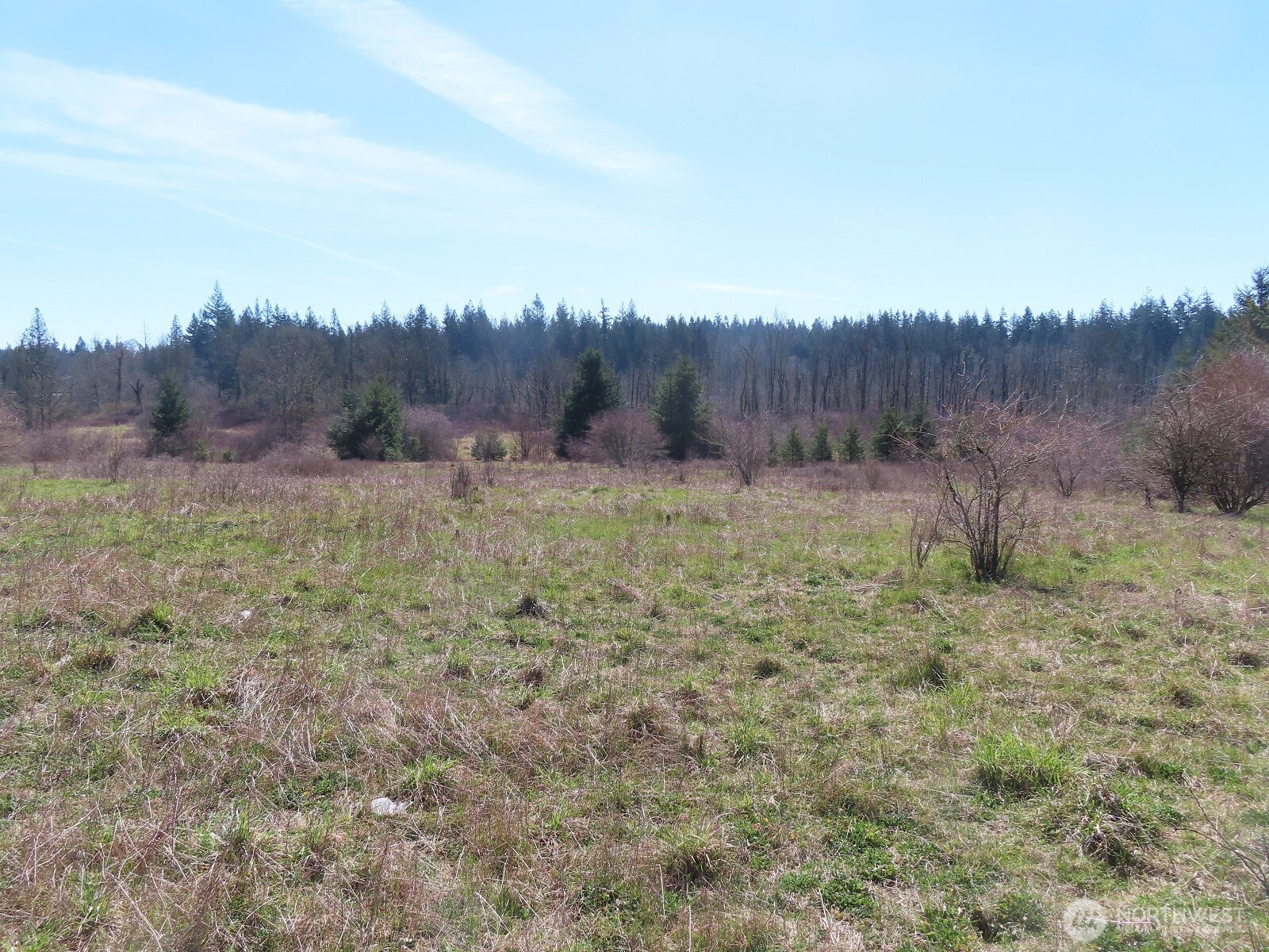 107 West Avery Road, Unit A & B Winlock, WA 98596 - Photo 17 of 33 a view of a yard with an outdoor space