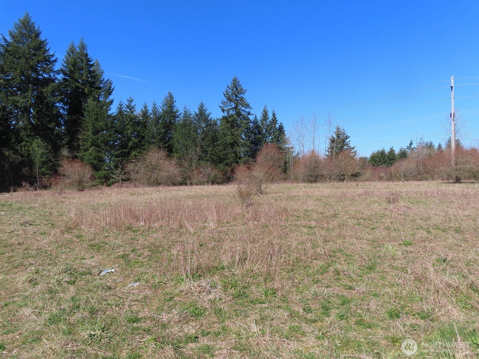 107 West Avery Road, Unit A & B Winlock, WA 98596 - Photo 22 of 33 a view of a yard with trees in the background
