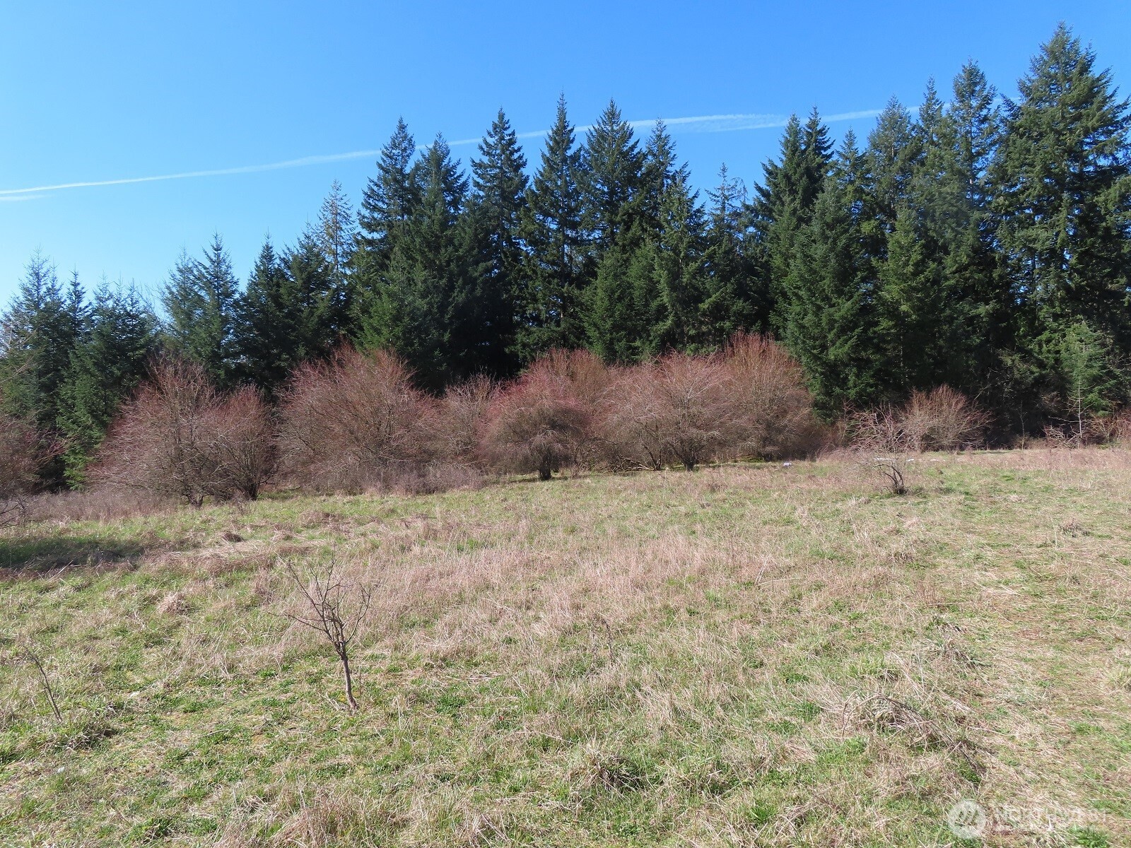 107 West Avery Road, Unit A & B Winlock, WA 98596 - Photo 28 of 33 a view of a dry yard
