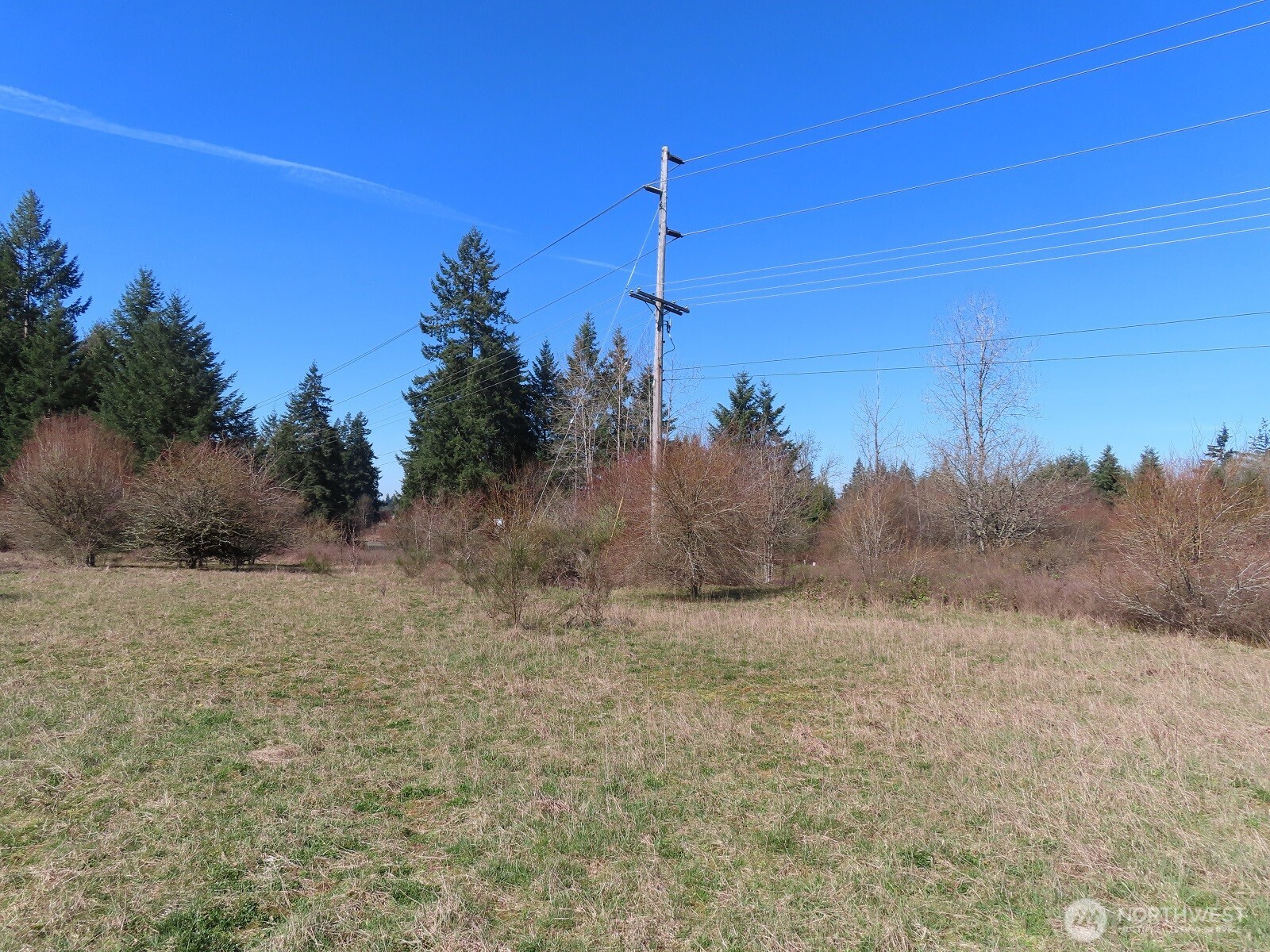 107 West Avery Road, Unit A & B Winlock, WA 98596 - Photo 29 of 33 a view of a pathway with a yard