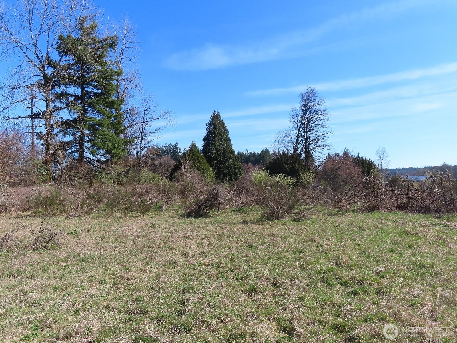 107 West Avery Road, Unit A & B Winlock, WA 98596 - Photo 30 of 33 a view of a dry yard with trees in the background