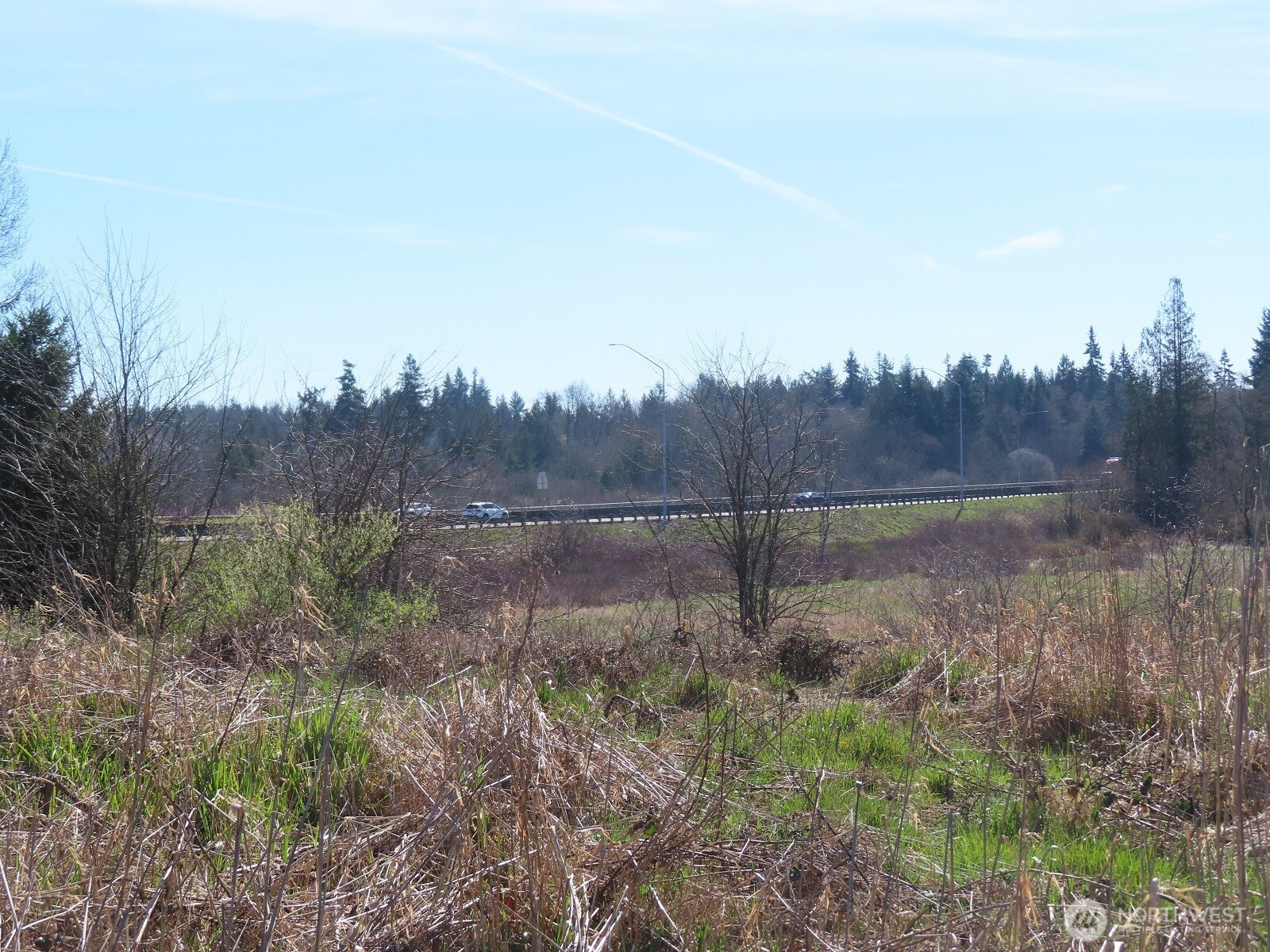 107 West Avery Road, Unit A & B Winlock, WA 98596 - Photo 31 of 33 a view of a backyard
