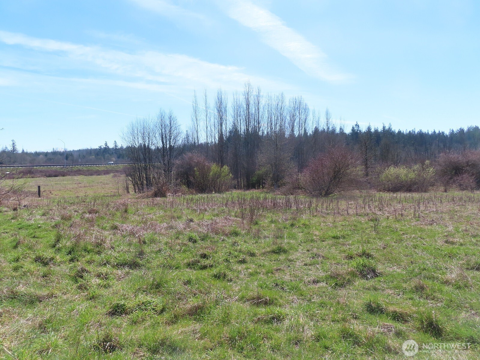 107 West Avery Road, Unit A & B Winlock, WA 98596 - Photo 4 of 33 a view of a yard
