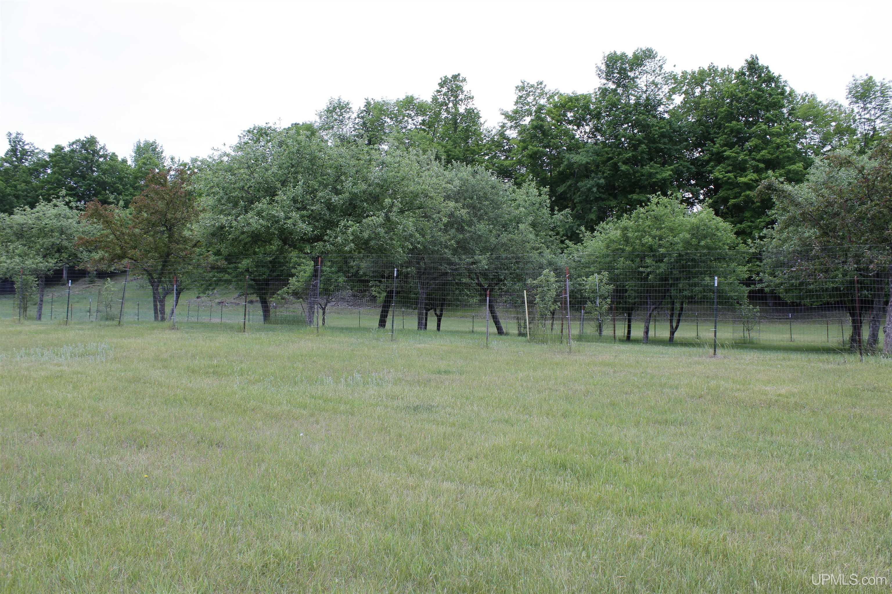 W2588 31 Lane Daggett, MI 49821 - Photo 28 of 58