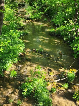$249,950 | 40 River Road, Buchanan, VA 24066