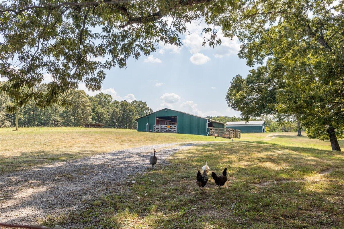 6826 Sam Smith Road Birchwood, TN 37308 - Photo 28 of 46 28-IMG_4692